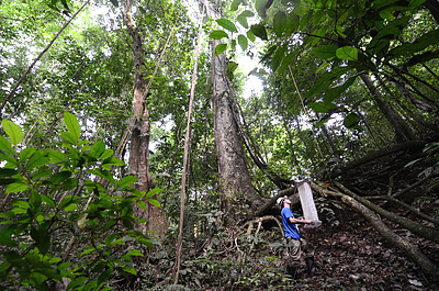 Credit: Geoffrey Gallice