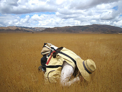 Credit: Jessica Celis