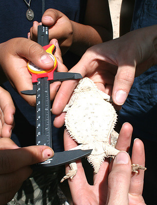 Credit: Brittany Barker