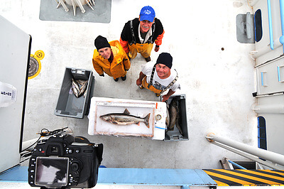 Researchers pose with a lake trout (Salvelinus namaycush) displayed for digital imaging. Side views of these fish are captured to identify different morphotypes (i.e., deep versus shallow water) and to study form-function relationships to help inform restoration efforts in the Laurentian Great Lakes. Credit: Andrew Muir