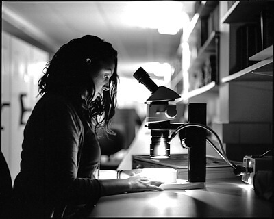 Allie Stone, the person in the image, and I are imaging specialists for collections at The Field Museum. One night we decided to stay very late to keep working on imaging projects we were working on. She was working on tropical butterflies and was currently on the family Nymphalidae. I realized that while science is full of incredible 'AHA' moments as well as amazing collecting experiences, so much of what is known to science is in the work of people like Allie that stay in a collection alone until 11pm at night in order to provide images and information to researchers and the public online. So often advancement in science happens because there is no appropriate or inappropriate time for passionate individuals to work. Credit: Daniel Le