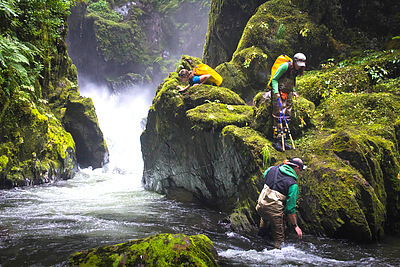 The Sitka Sound Science Center is partaking in a research project to investigate the interactions of wild and hatchery chum salmon in Southeast Alaska. During the summer months, field crews are sent to 32 streams across the region to collect samples. Here is a shot of the crew I worked with, as we reached the upper portion of our sampling area on Sawmill Creek, near Juneau Alaska. Credit: Ben Adams
