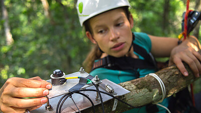 PhD student Marielle Smith installs a mid-canopy light sensor on a tree branch in an Amazon forest. A network of these sensors monitors vertical profiles of light through the canopy in order to illuminate drivers of ecosystem processes. Credit: Tyeen Taylor