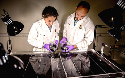 Scientists Michael Baym and Tami Lieberman from Roy Kishony's lab at the Harvard Medical School and Technion-Israel Institute of Technology set the scene for a large-scale experiment of bacterial evolution towards antibiotic resistance. Media containing black ink is poured into a 2-by-4 foot petri dish. A gradient of antibiotic is created so that the outermost sides of the dish are antibiotic-free but each subsequent section towards the center contains 10-times the antibiotic. Escherichia coli bacteria is inoculated at the two ends of the dish, and a camera records bacterial movement, death, and survival over 2 weeks. According to Kishony, this Microbial Evolution and Growth Arena (MEGA) plate powerfully demonstrates the ease by which bacteria can evolve antibiotic resistance, and also visualizes complex concepts in evolution such as mutation selection, lineages, parallel evolution, and clonal interference. Credit: Alina Chan