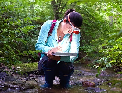 Samantha Jordt measures the health of streams by counting the amount and types of insect egg masses deposited on emergent rocks. Her M.Sc. at the Department of Applied Ecology at NC State is assessing the insect biodiversity of restored vs. natural streams across North Carolina. Credit: Michelle Jewell