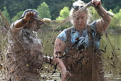 Georgia Gwinnett College Environmental Science Majors Divida Milliner and Kelly Simpson stand waste-deep in a local pond to learn how to seine net and mark-and-recapture sunfish. Credit: Christopher Brown